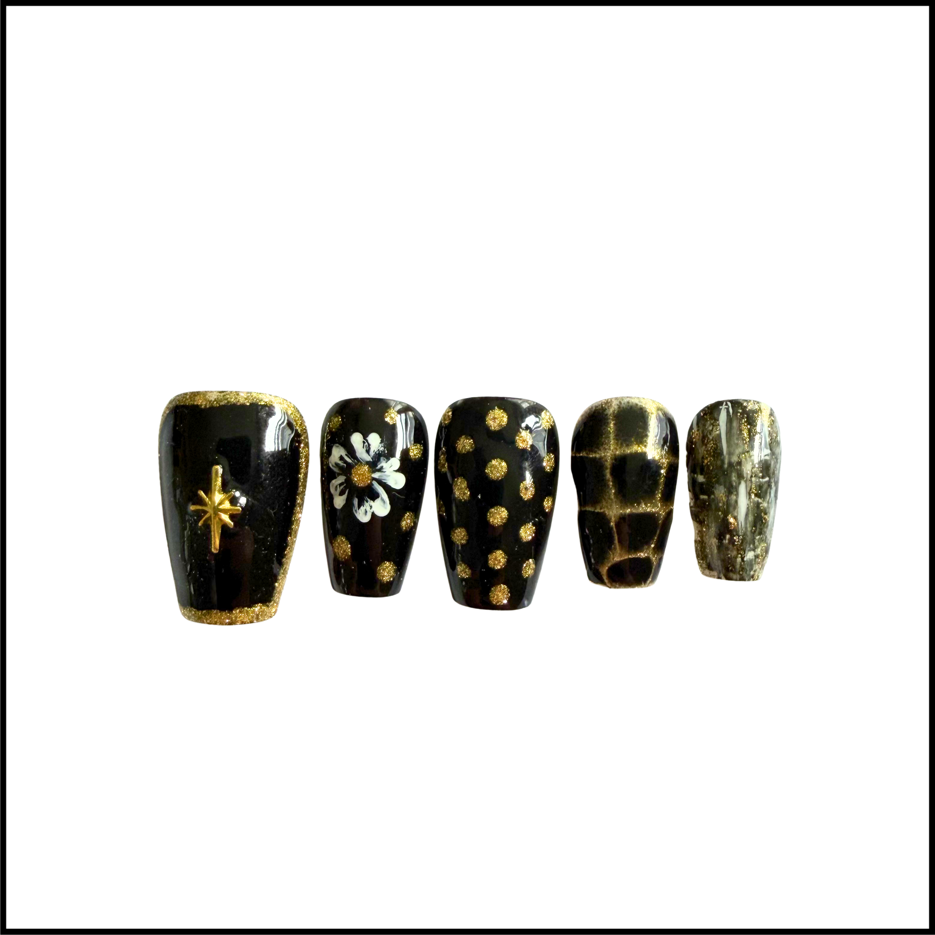 Stellar Nights