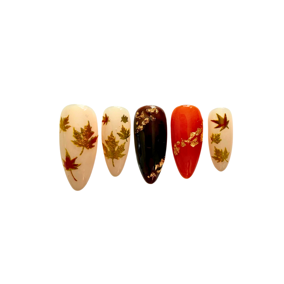 Maple Muse