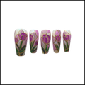 Enchanted Tulip